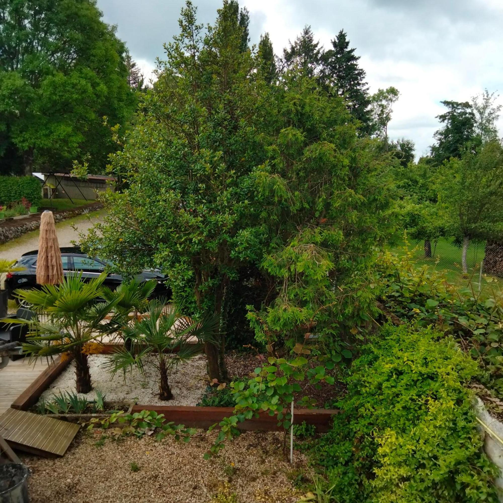 Le Jack Bed & Breakfast Mont-sous-Vaudrey Bagian luar foto